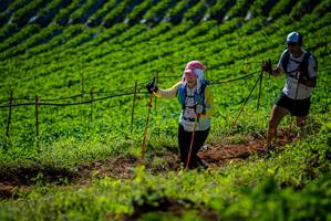 BIB: 
                            <button type="button" onclick="openModal(19161225)" class="btn btn-primary btn-sm float-right btn-popup" data-toggle="modal" data-target=".modal-high-quality">
                        <i class="fas fa-shopping-cart"></i> Add to Cart
                    </button>
                                            <button type="button" onclick="isThisMe(19161225, true)" class="btn btn-success btn-sm float-right btn-popup btn-isme hidden" data-toggle="tooltip" data-placement="bottom" title="นี่คือรูปของคุณใช่ไหม คลิกที่นี่เพื่อเอาเข้าอัลบั้ม">
                        <i class="fas fa-plus"></i> Add to album
                    </button>
                    <button type="button" onclick="isThisMe(19161225, false)" class="btn btn-warning btn-sm float-right btn-popup btn-isnotme hidden">
                        <i class="fas fa-ban"></i> Remove from album
                    </button>